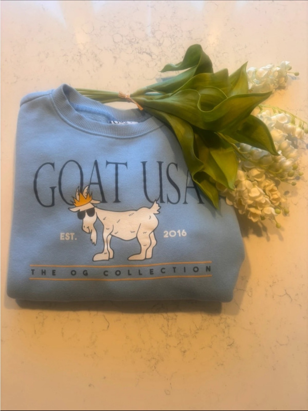 GOAT USA Light Blue Crewneck Sweatshirt for Kids- Youth XL